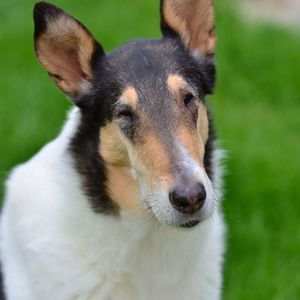 Meet your Posher, Ewa